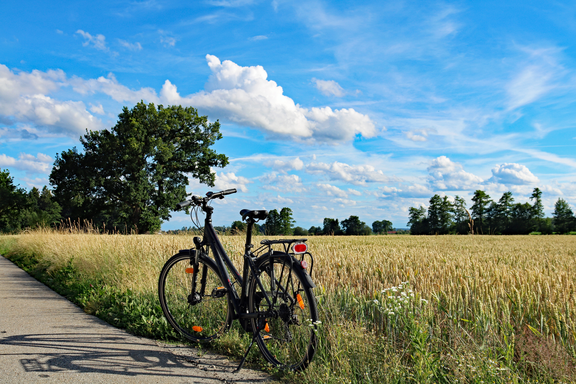 Велик в поле. Велосипед на природе. Велосипед летом. Велосипед в поле. Пейзаж с велосипедом.